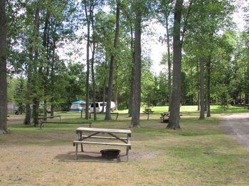 沃萨加比奇海滩 Jell E Bean Campground And Trailers酒店 外观 照片